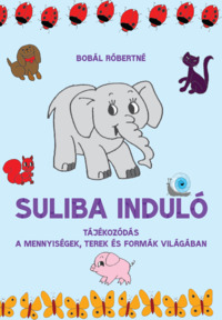 Könyv Guru Kiadó: Suliba induló. Tájékozódás a mennyiségek, terek és formák világában.