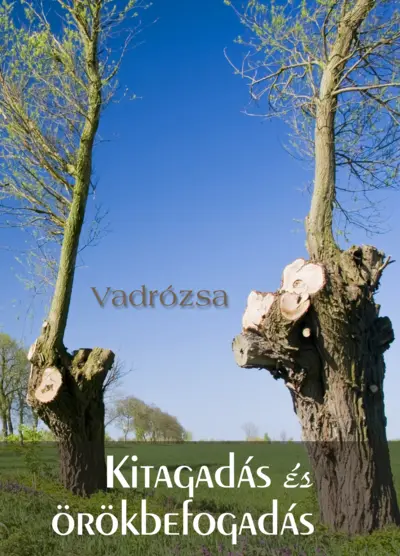 Kitagadás és örökbefogadás
